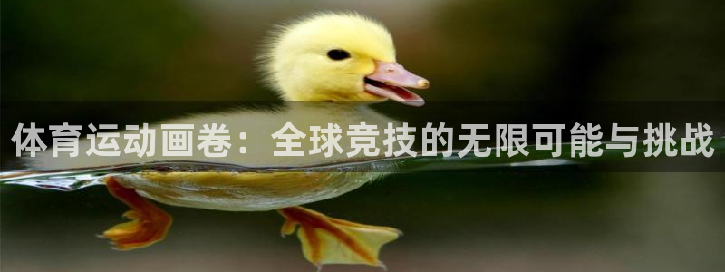 公海赌赌船官方正版app娱乐平台:体育运动画卷:全球竞技的无