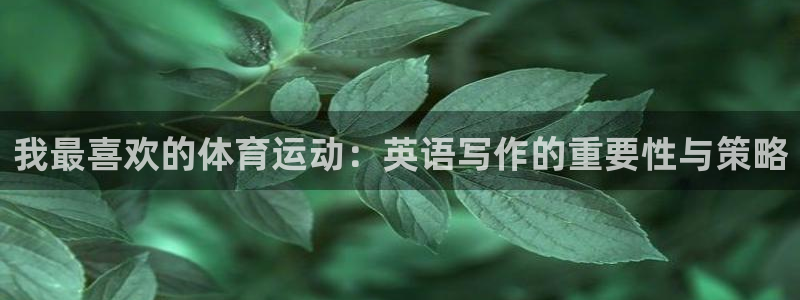 公海赌赌船官网下载平台注册要钱吗安全吗:我最喜欢的体育运动: